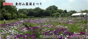 The 30th Higashimurayama iris festival 