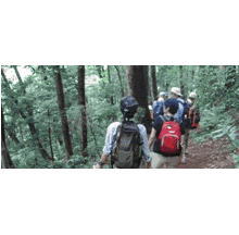 Hiking guide tour in July 