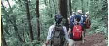 ６月のハイキングガイドツアー　「新緑の高尾山を歩こう」