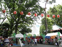 The 36th White Court Magnifying Court Opens Sun Road Tsukiji Temple Monza City Summer Festival