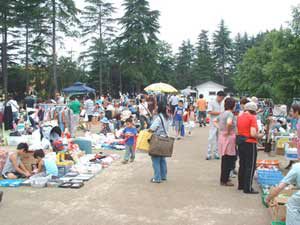 Mizuho Eco Park Flea Market 