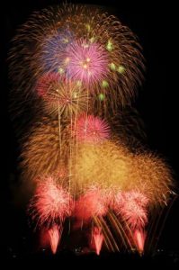 The 60th Tachikawa Festival National Showa Memorial Park Firework Display