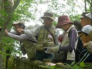 Nature observation party of Higashi Yamato Park