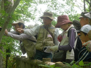 東大和公園の自然観察会