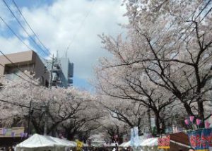 The 34th Honmachi Sakura Festival