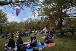 The 40th Cherry Blossom Festival Rokugo mountain gathering