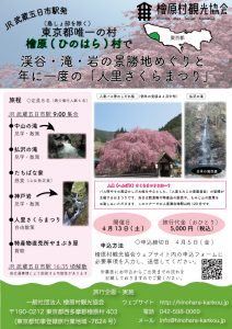 A view of the scenic spots of valleys, waterfalls and rocks and the once-in-a-year Himura Cherry Blossom Festival