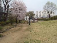 Midori's walking tour (Seseragi Park, Shidera course)