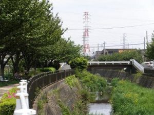 観察会「川の生きものをさがそう！」