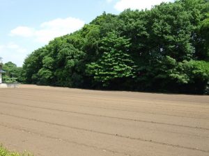 環境シンポジウム＆ワークショップ「武蔵野の水源の森を未来へつなごう」