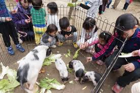 東多世代交流センターに移動動物園がやってくる！