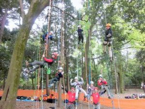 ツリークライミングで木登り体験