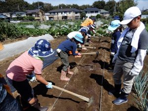 農業ふれあい公園 キッズ野菜栽培体験教室