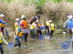 府中水辺の楽校「多摩川で水辺の生き物を観察しよう」