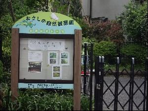 むさしの自然観察園「UVレジンを使って海アートを作ろう」