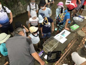 日野宿子ども発見隊　夏休み！親子で調べよう日野用水