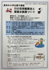 夏休み親子自然観察会と壁面水族館づくり