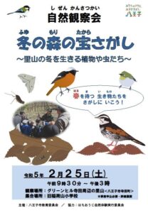 自然観察会　冬の森の宝さがし