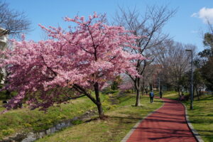 元気で歩こう会『しんやま親水広場から柳泉園・園内見学』