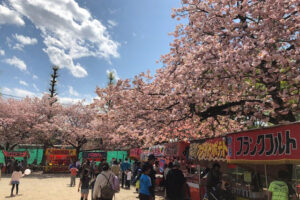 第46回くにたちさくらフェスティバル