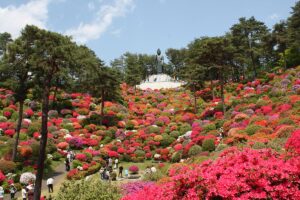 つつじ祭り（塩船観音寺）