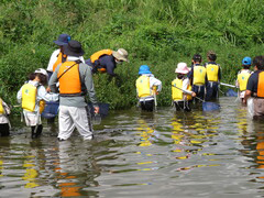 府中水辺の楽校「多摩川で水辺の生き物を観察しよう」