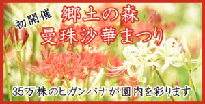 郷土の森 曼珠沙華まつり