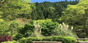 多摩ヨイヤ祭