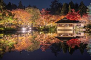 黄葉・紅葉まつり＆秋の夜散歩2023