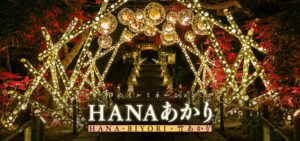 HANAあかり～HANA・BIYORI×竹あかり～