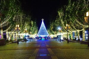 Tama Center Illumination 2023
