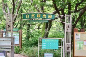 むさしの自然観察園｜スターウォッチング 星座と惑星を見よう