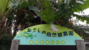 むさしの自然観察園｜親子で自然が好きになるゲーム＆クラフト～自然の音を聞こう～