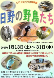 カワセミハウス写真展「日野の野鳥たち」
