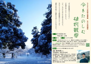 冬の自然講座「今をたのしむ植物観察」