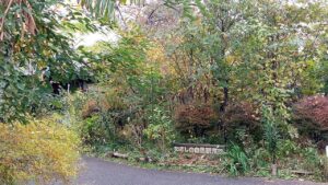 むさしの自然観察園｜はじめての草木染～植物で布を染めよう！