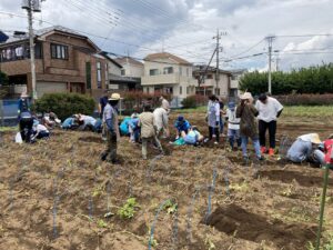 Akitsu Chirorin Village “Potato planting”