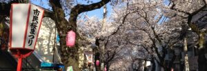 The 53th Fuchu Citizen Cherry Blossom Festival