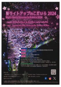 Cherry Blossom Illumination in Kodaira