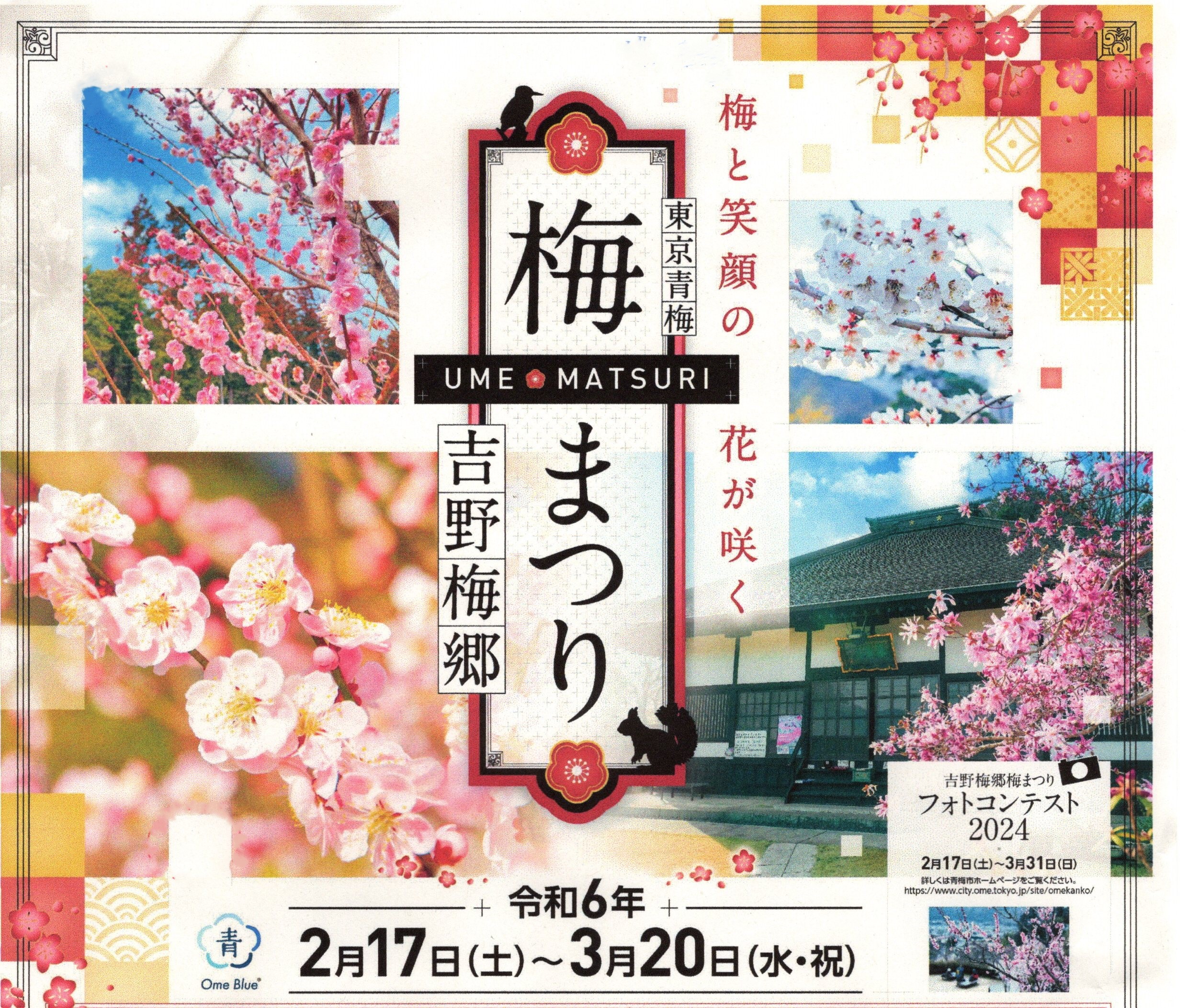 Yoshino Baigou Plum Blossom Festival