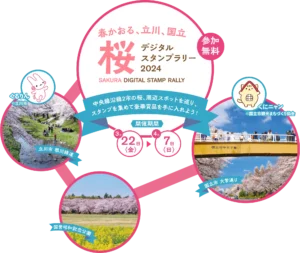 春かおる、立川、国立 桜デジタルスタンプラリー2024