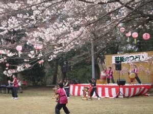 Takiyama Castle Ruins Cherry Blossom Festival