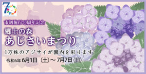 郷土の森 あじさいまつり