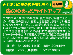森のゆるっとライトアップ