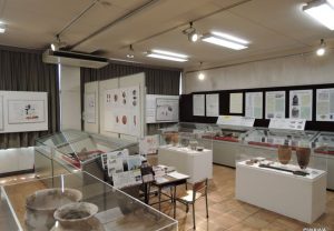 令和6年度秋季企画展