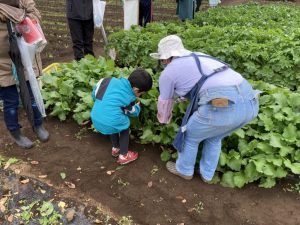 秋津ちろりん村「収穫祭」