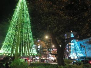 国立市内クリスマスイルミネーション情報2024富士見通り中商店会)