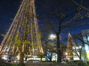国立市内クリスマスイルミネーション情報2024(旭通り  国立市東1-14-7周辺)