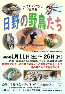 カワセミハウス写真展「日野の野鳥たち」