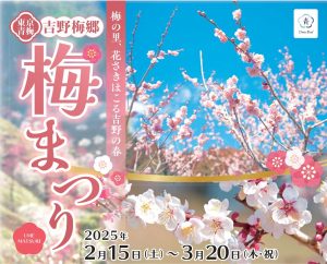 吉野梅郷梅まつり
